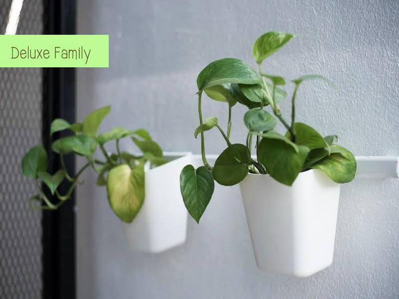 The Leaf Chiangmai Service Apartment Chiang Mai Exterior foto
